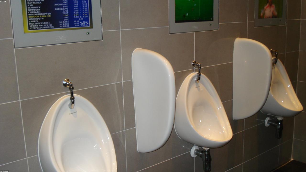 Sports Betting Options